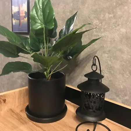 Apartman 84 Stan Na Dan * Ντόμποϊ